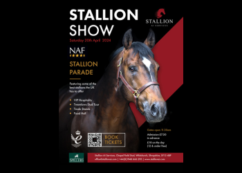 STALLION SHOW  Entry Ticket (ex VAT)